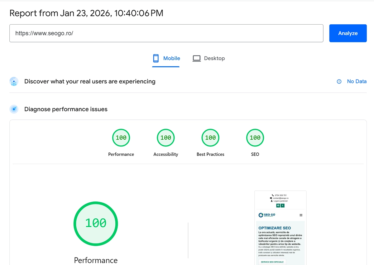 PageSpeed Insights SEOGO.ro